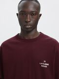 Product image thumbnail - REGULAR FIT T-SHIRT, Winetasting | 7