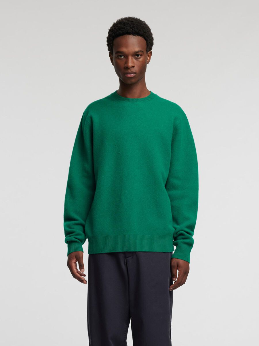Selected MERINO WOOL PULLOVER, Verdant Green, highres - 16094958_VerdantGreen_003.jpg